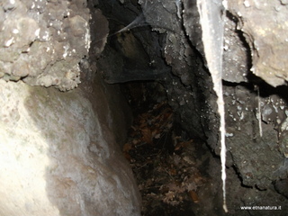 rderia-18-11-2012 12-03-13